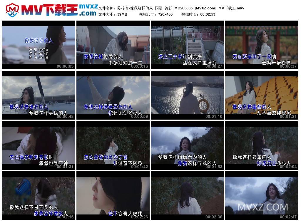 陈梓音-像我这样的人_国语_流行_MD205835